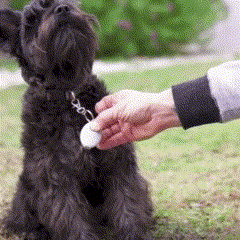 Video senza titolo - Realizzato con Clipchamp